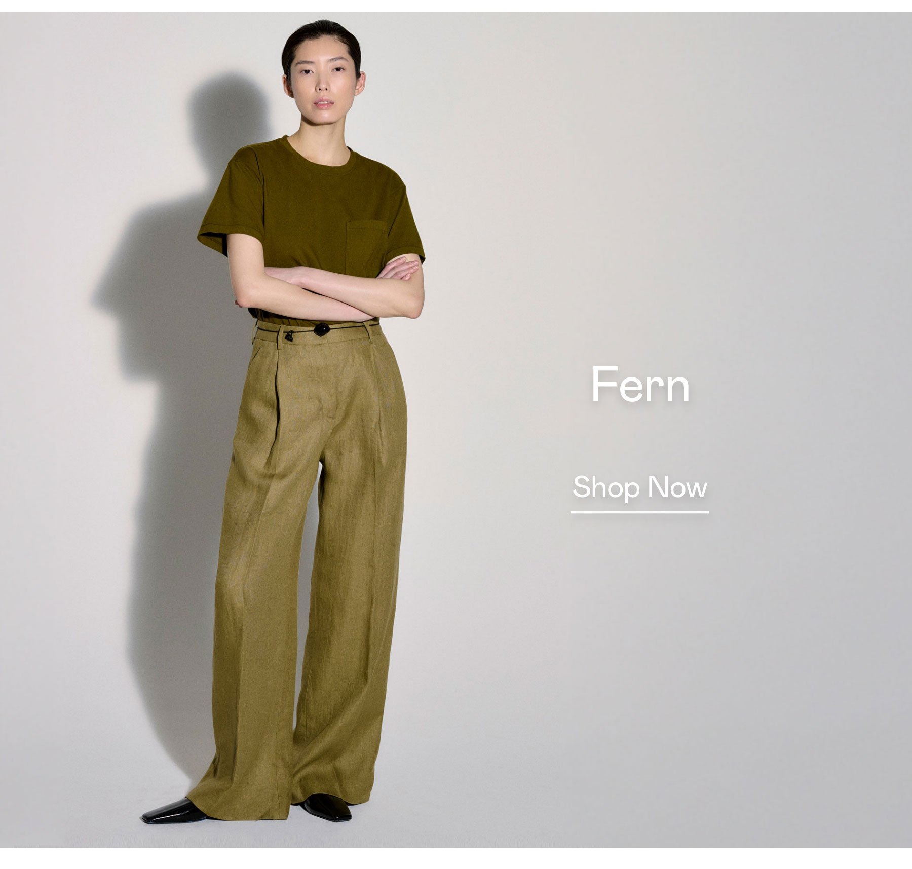 Shop Fern