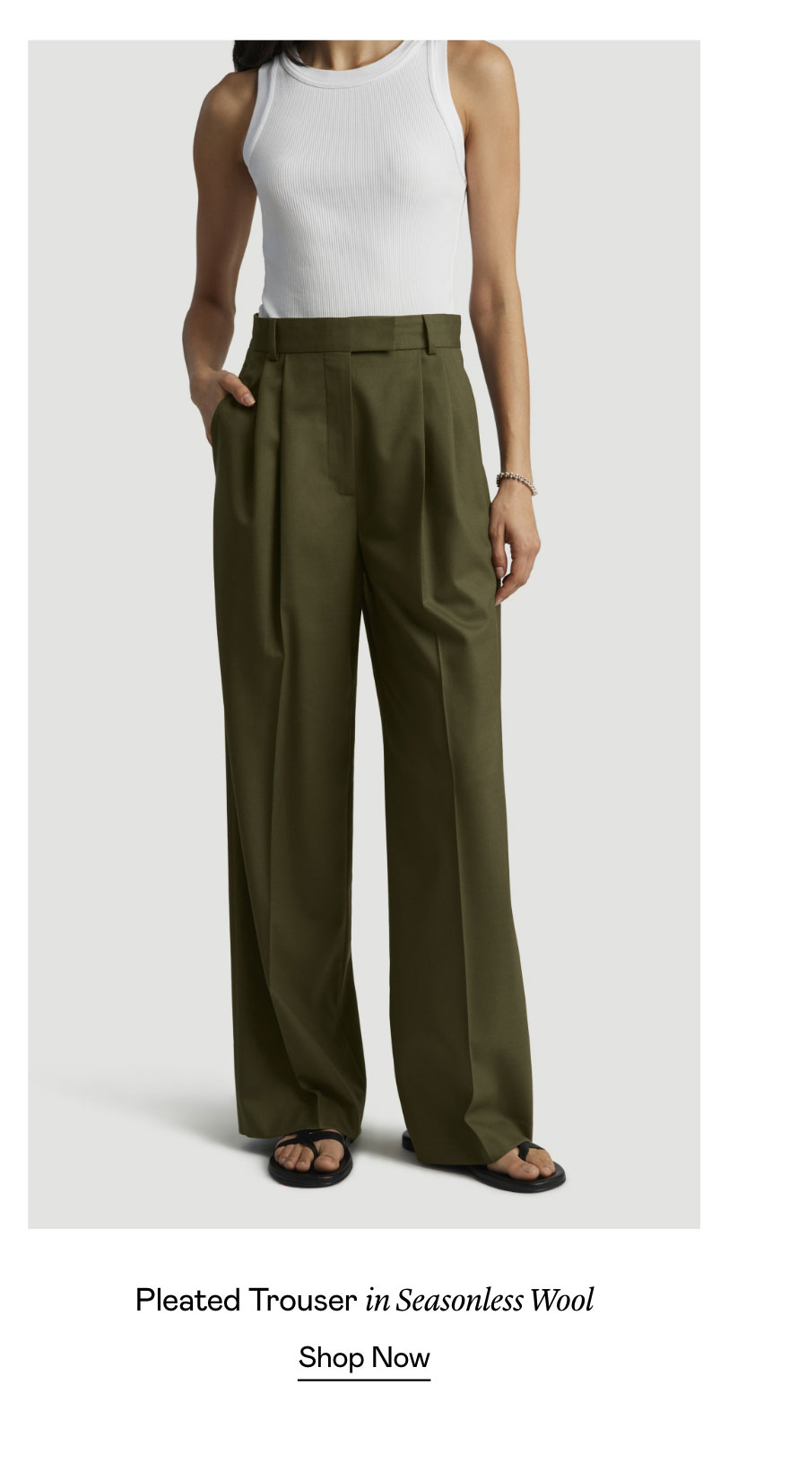 Pleated Trouser in Seasonless Wool