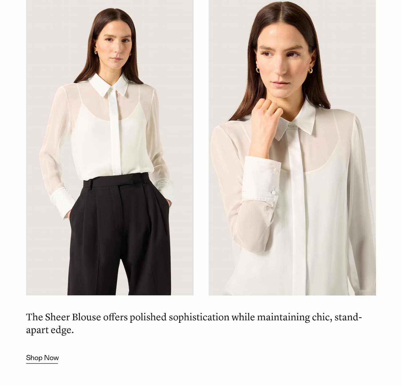 The Sheer Blouse offers polished sophistication while maintaining chic, stand-apart edge.