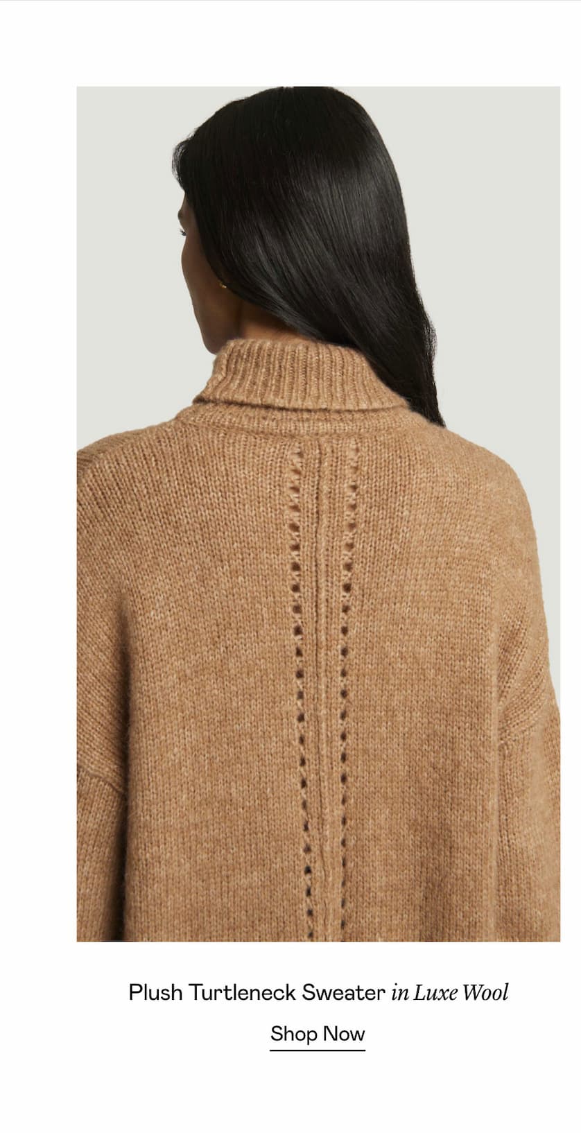Plush Turtleneck Sweater in Luxe Wool