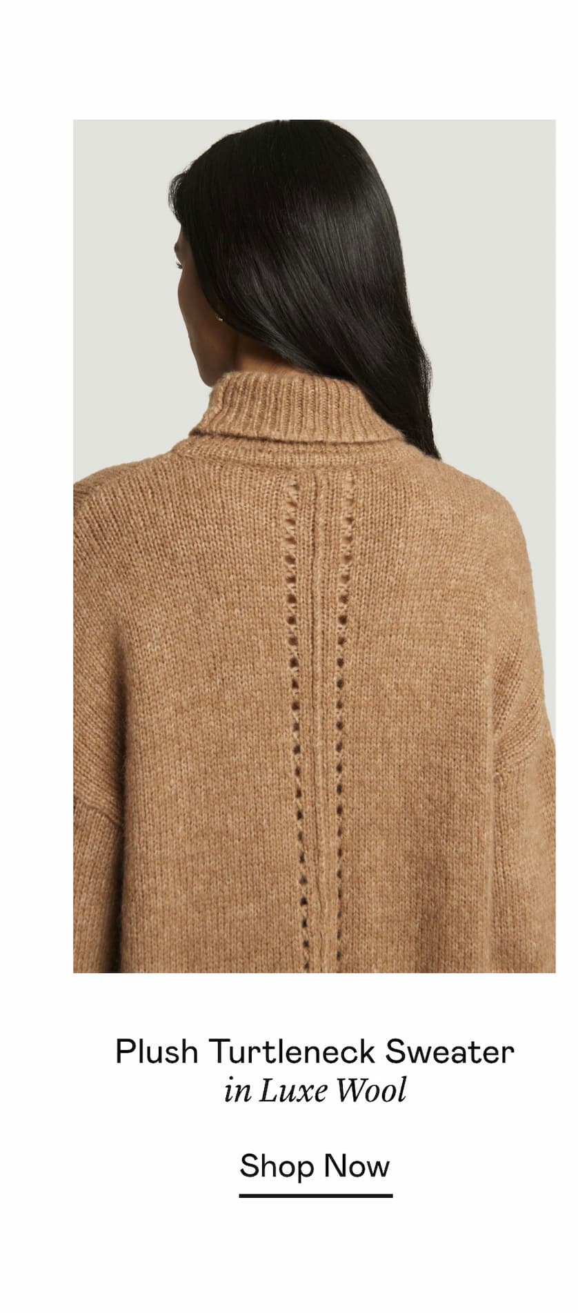 Plush Turtleneck Sweater in Luxe Wool