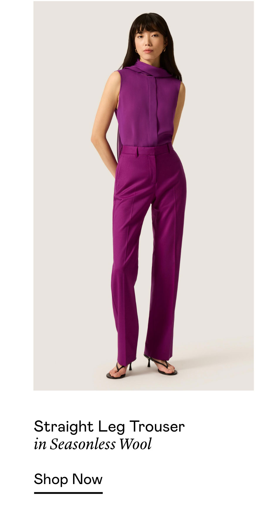 Straight Leg Trouser in Seasonless Wool Straight Leg Trouser in Seasonless Wool
