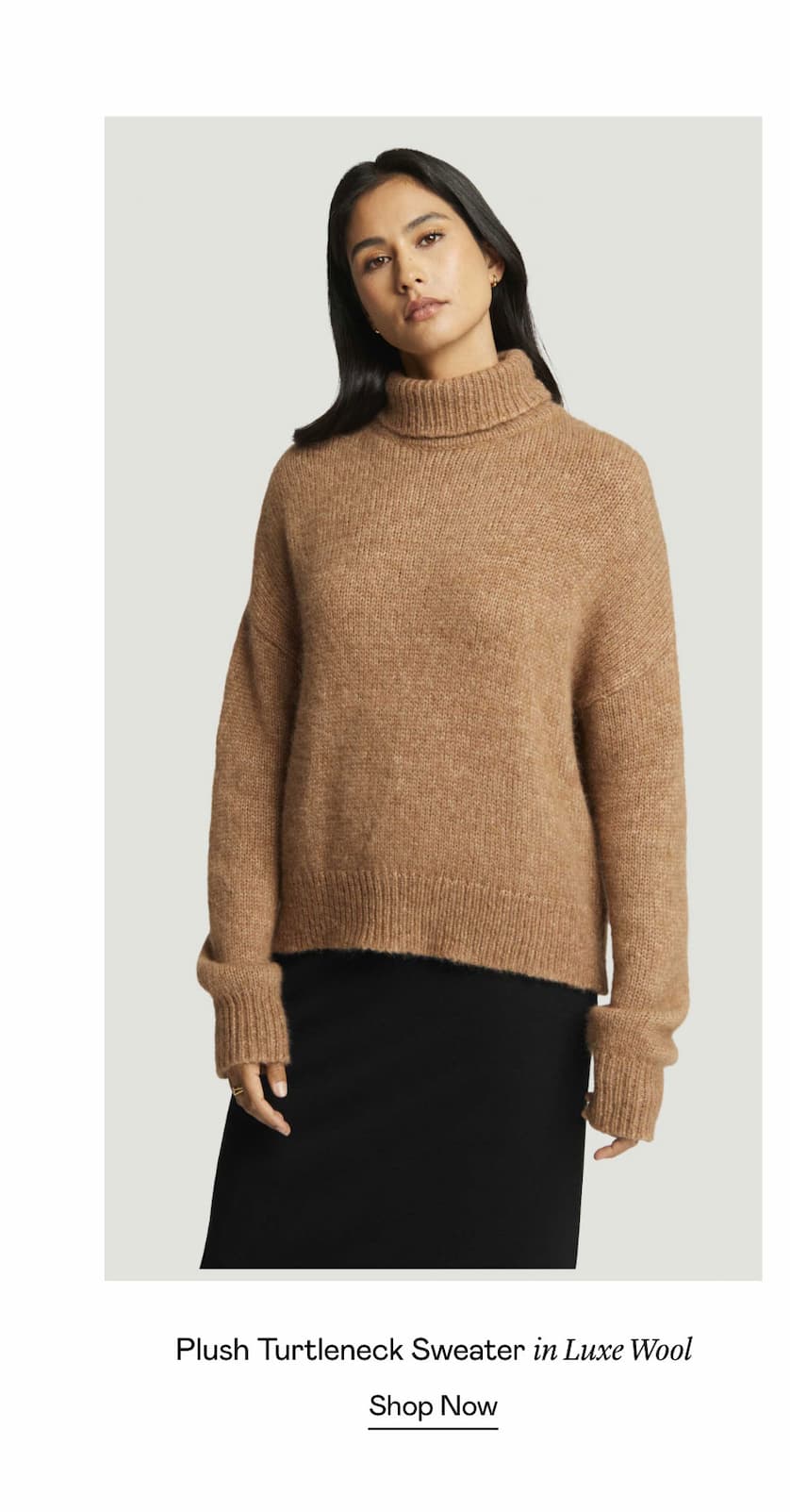 Plush Turtleneck Sweater in Luxe Wool
