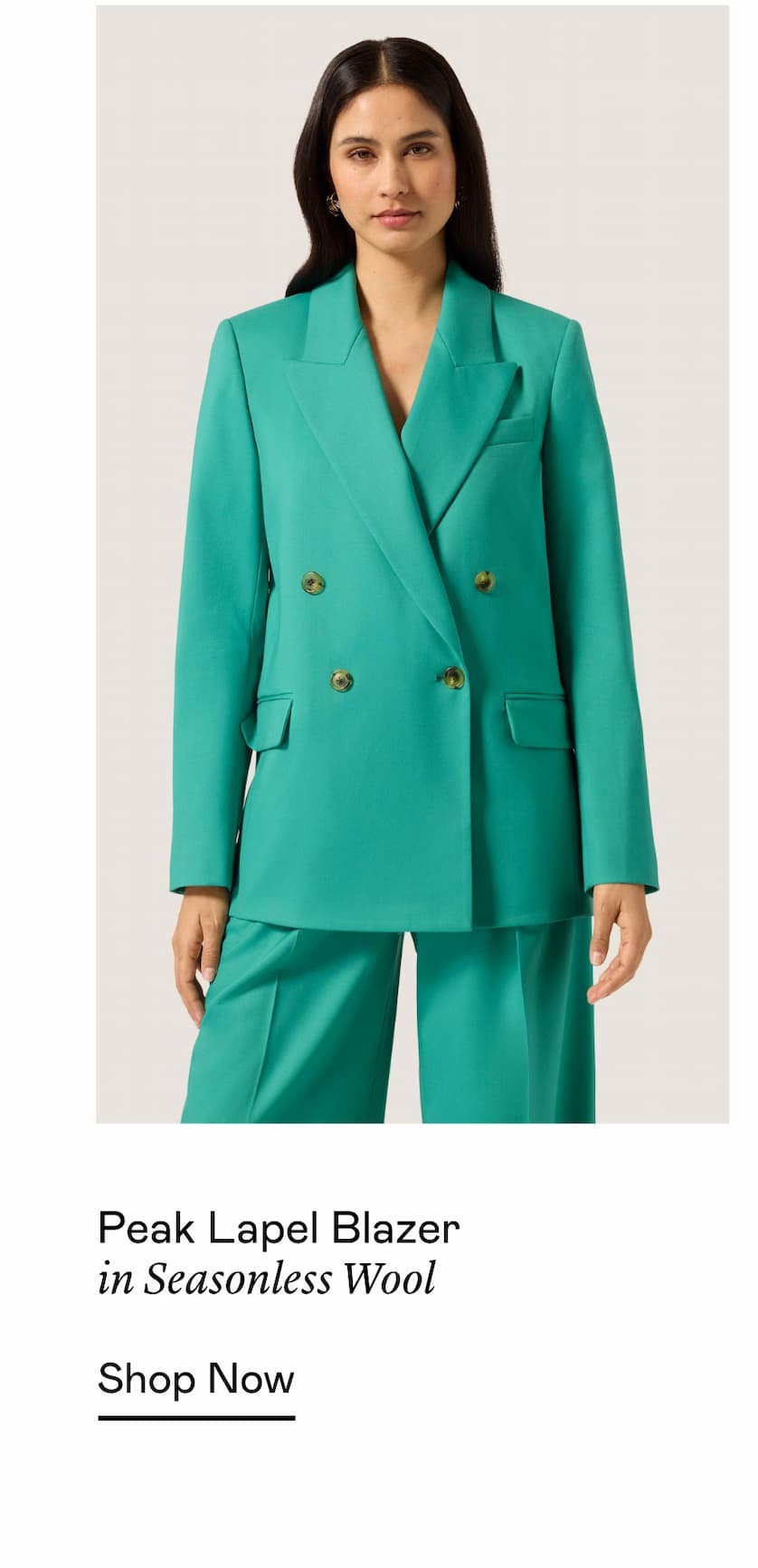 Peak Lapel Blazer in Seasonless Wool Peak Lapel Blazer in Seasonless Wool