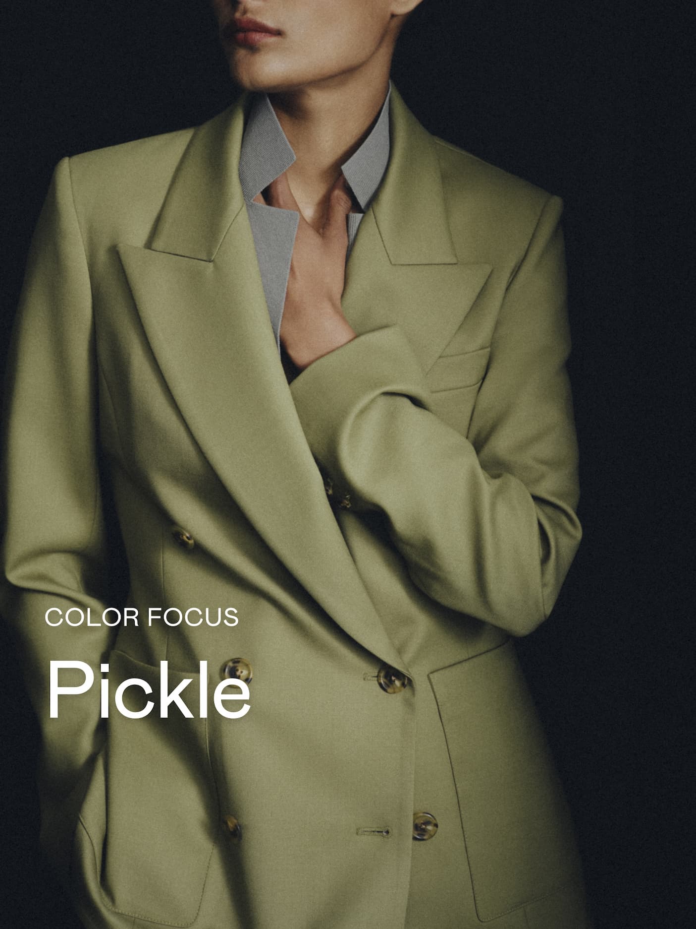 Color Focus: Pickle Color Focus: Pickle