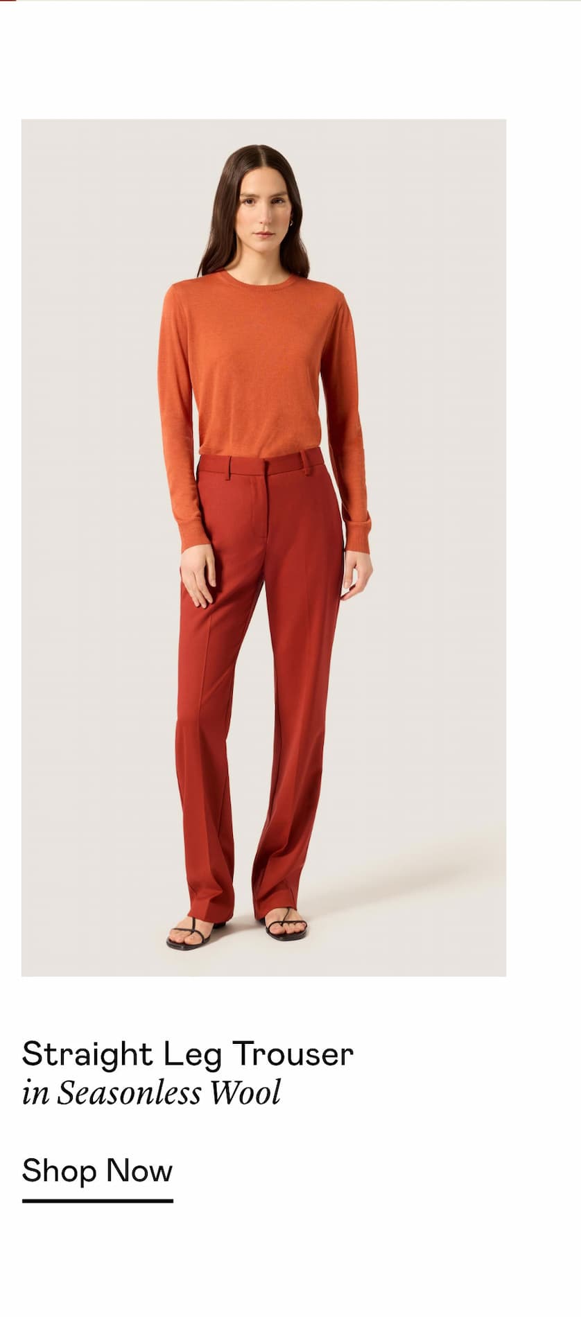 Straight Leg Trouser in Seasonless Wool Straight Leg Trouser in Seasonless Wool