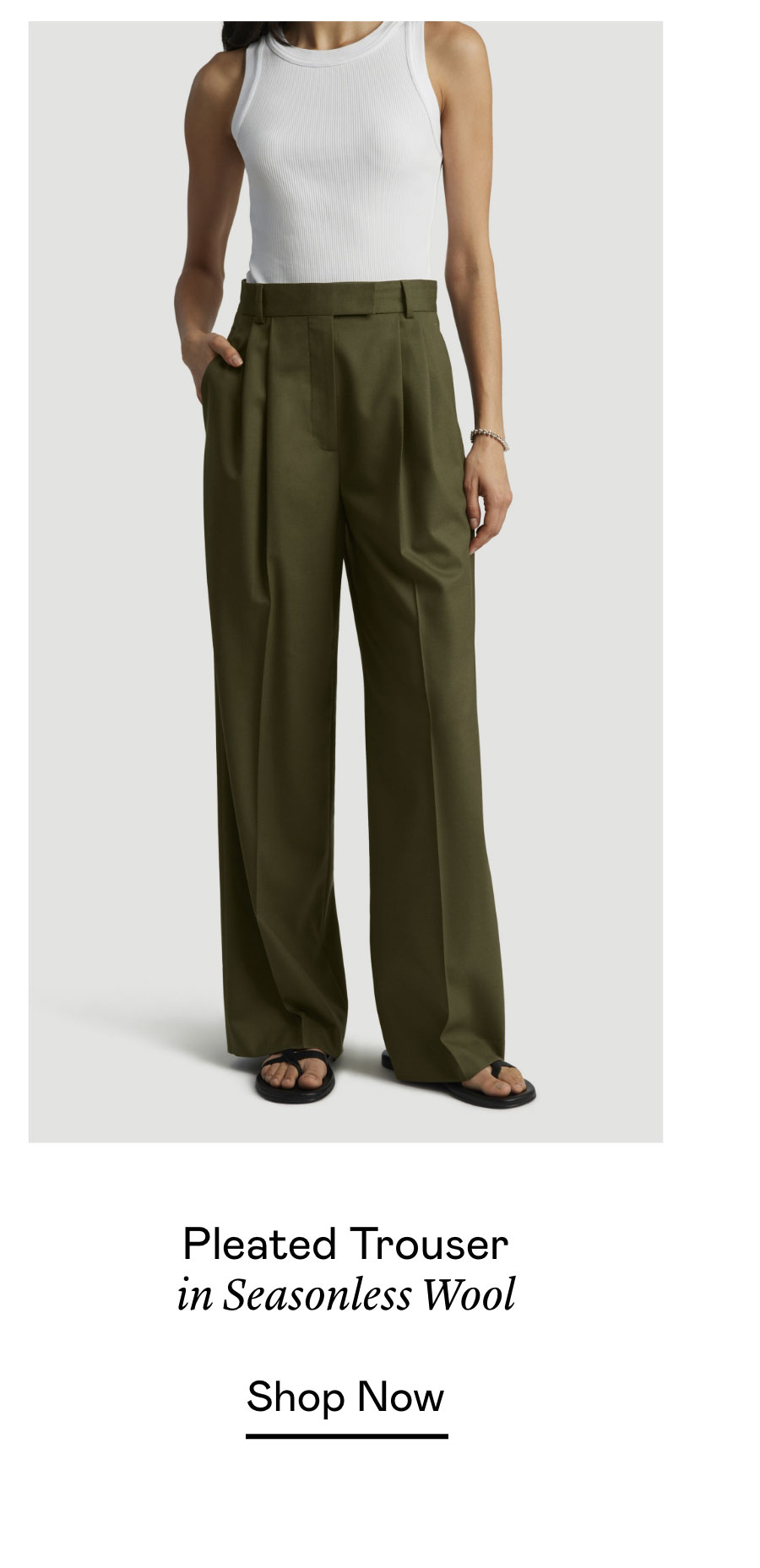 Pleated Trouser in Seasonless Wool
