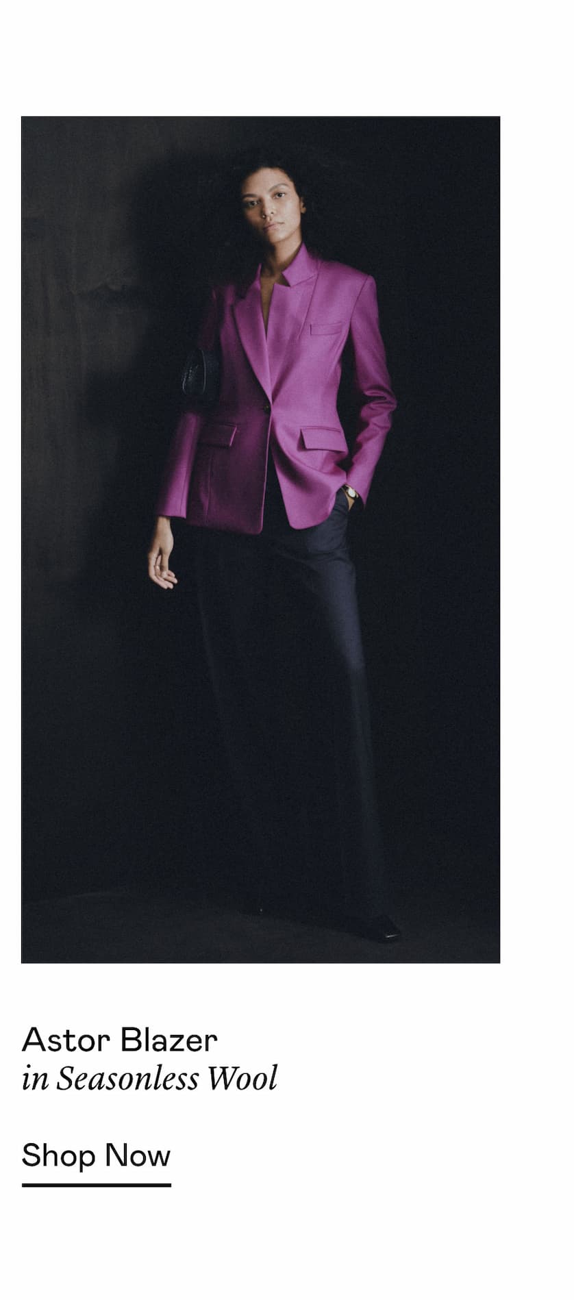 Astor Blazer in Seasonless Wool