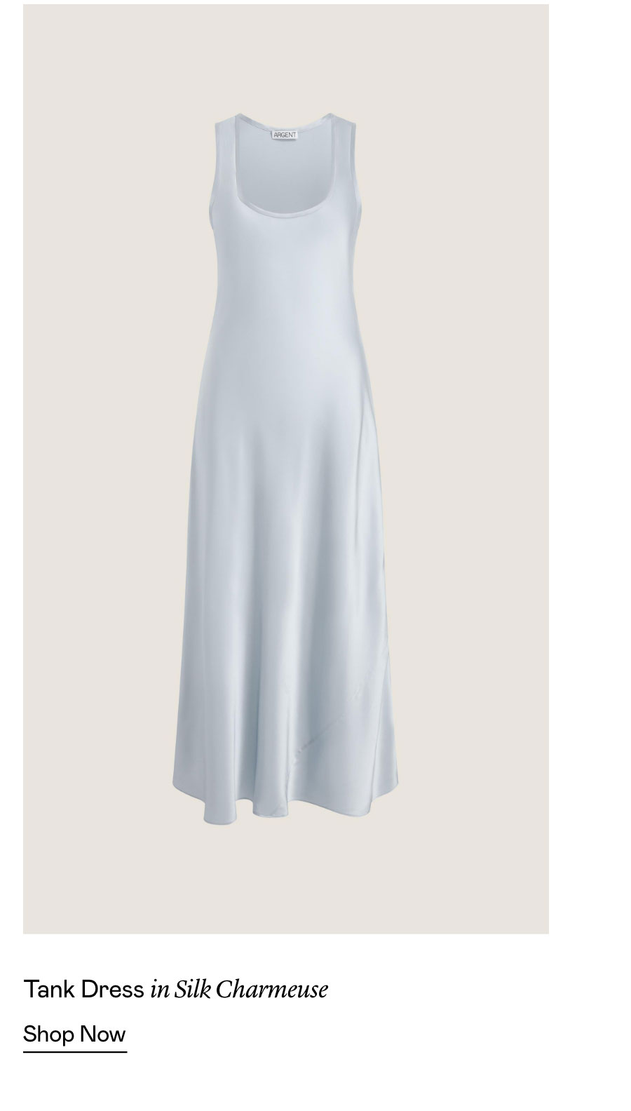 Tank Dress in Silk Charmeuse
