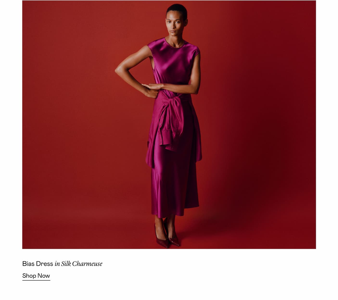 Bias Dress in Silk Charmeuse
