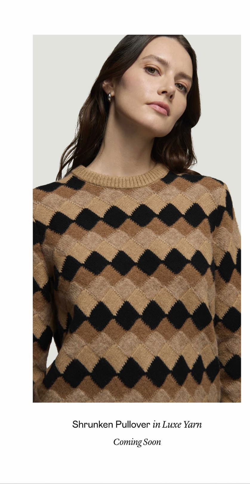 Shrunken Pullover in Luxe Yarn Shrunken Pullover in Luxe Yarn