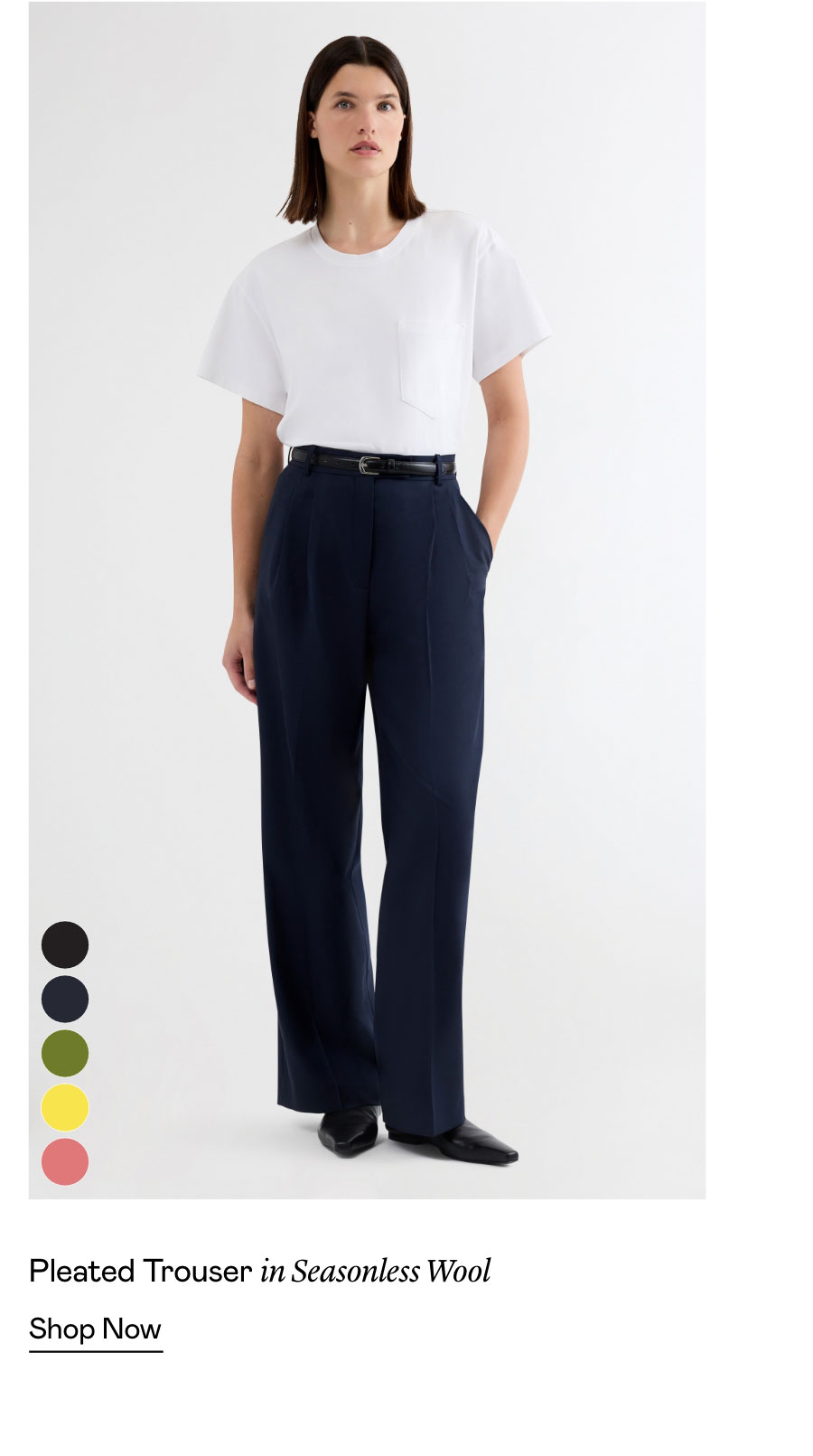 Pleated Trouser in Seasonless Wool