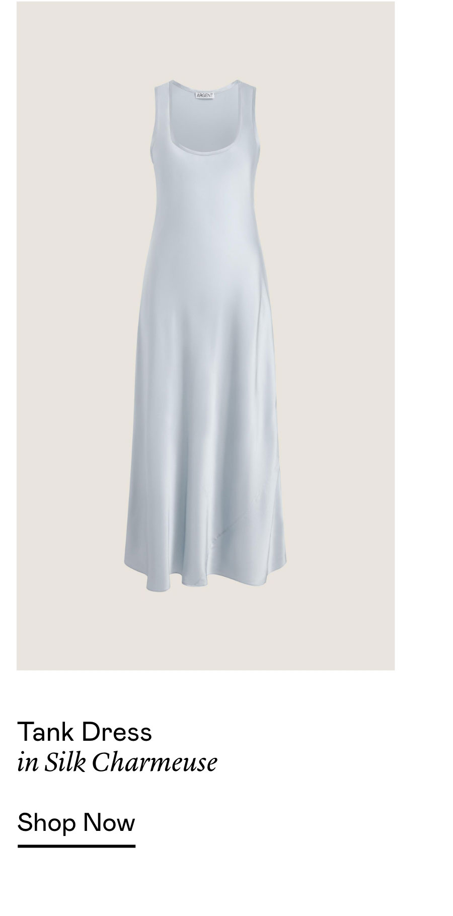 Tank Dress in Silk Charmeuse