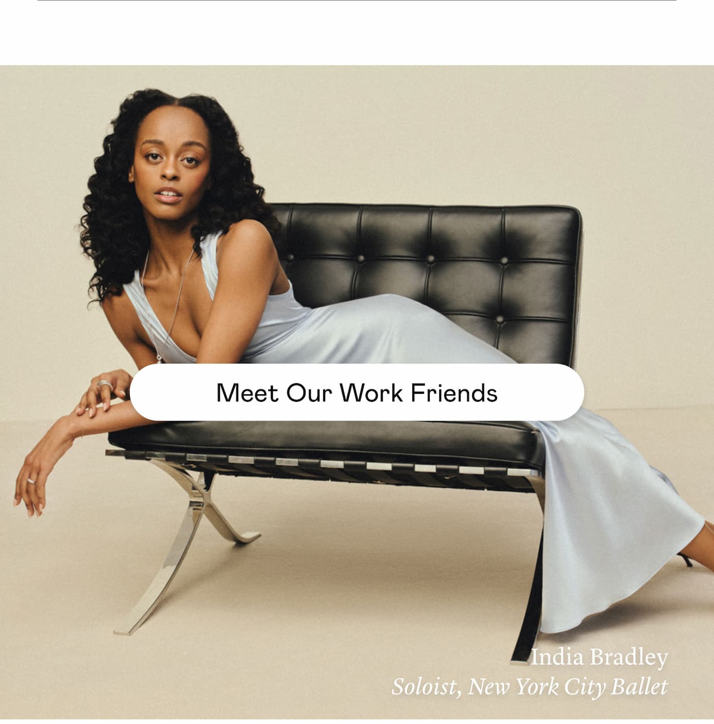 Meet Our Work Friends