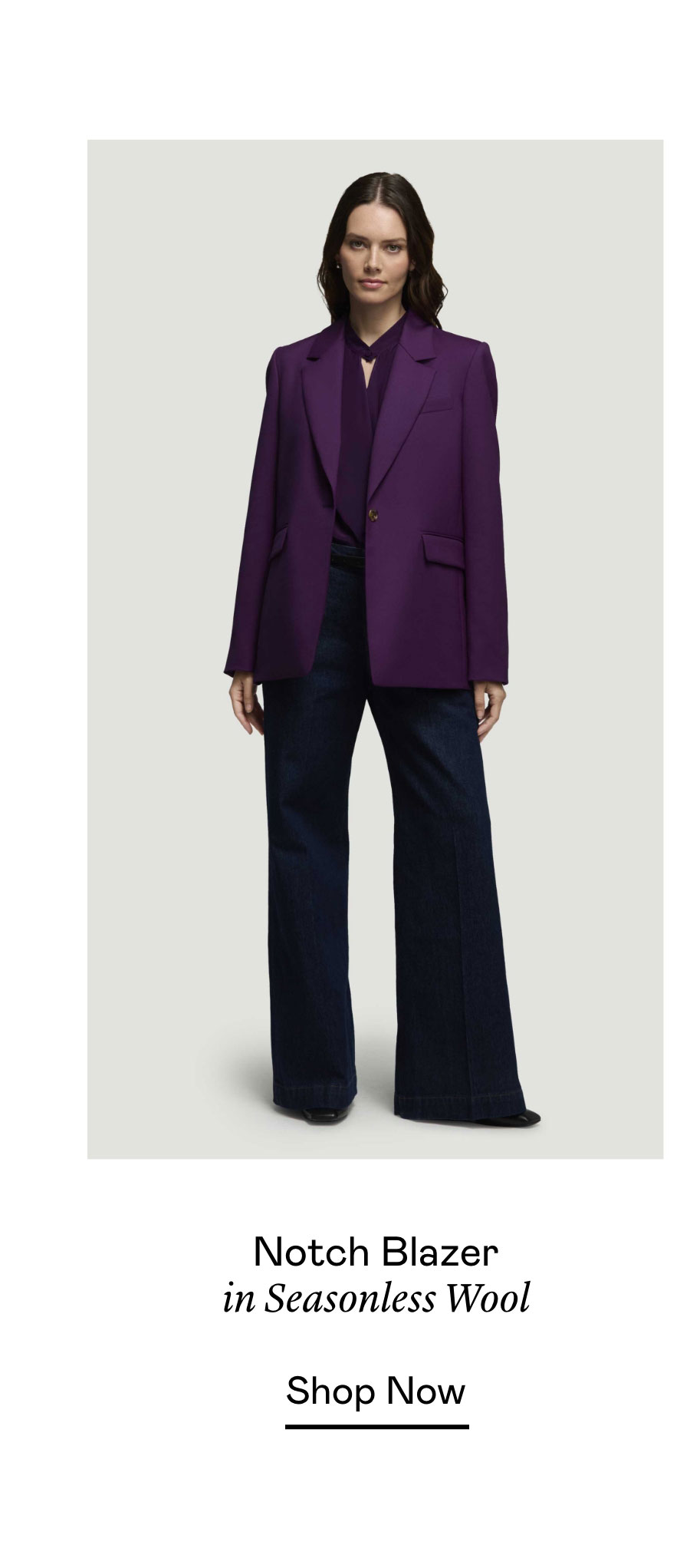 Notch Blazer in Seasonless Wool Notch Blazer in Seasonless Wool