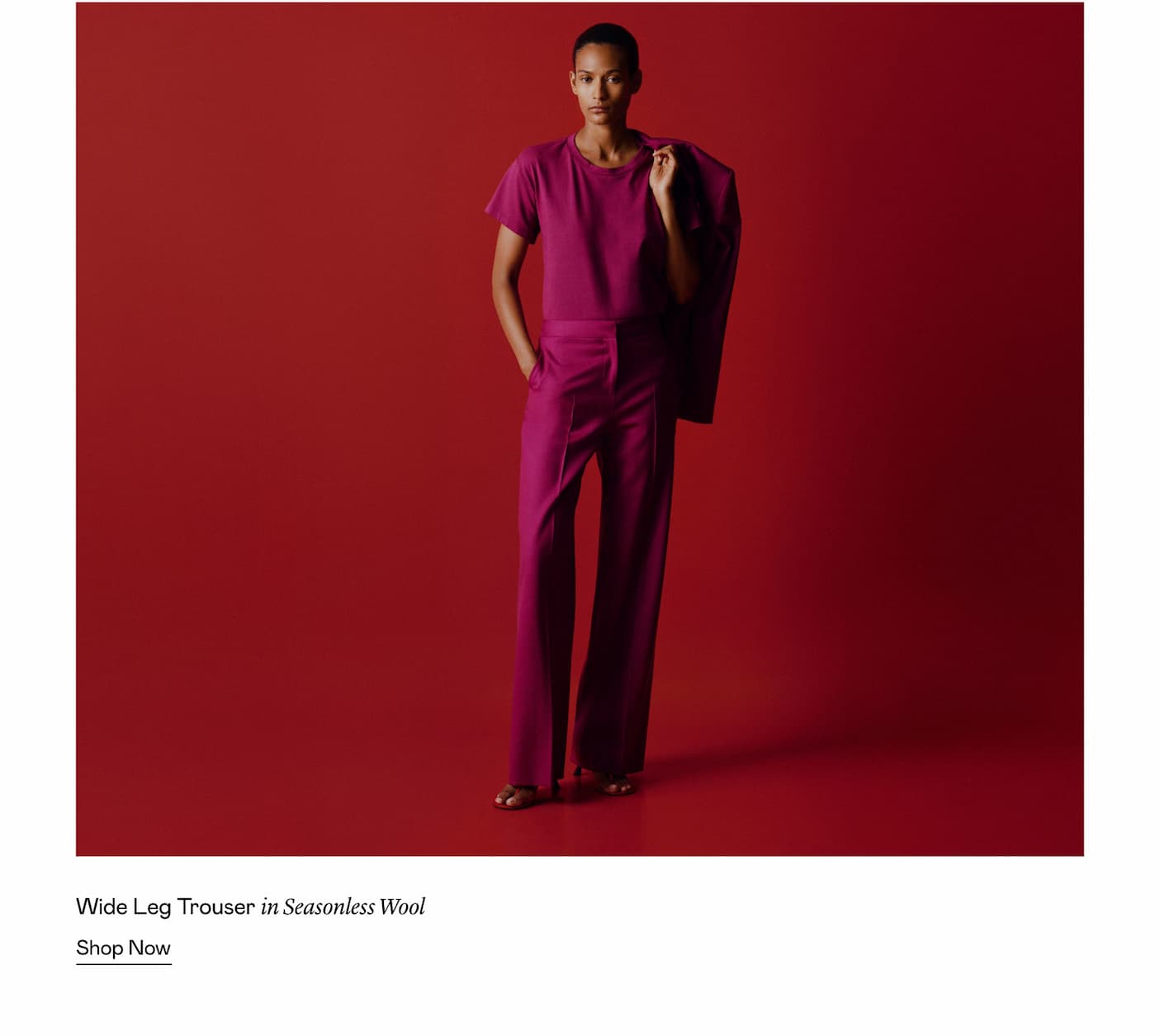 Wide Leg Trouser in Seasonless Wool