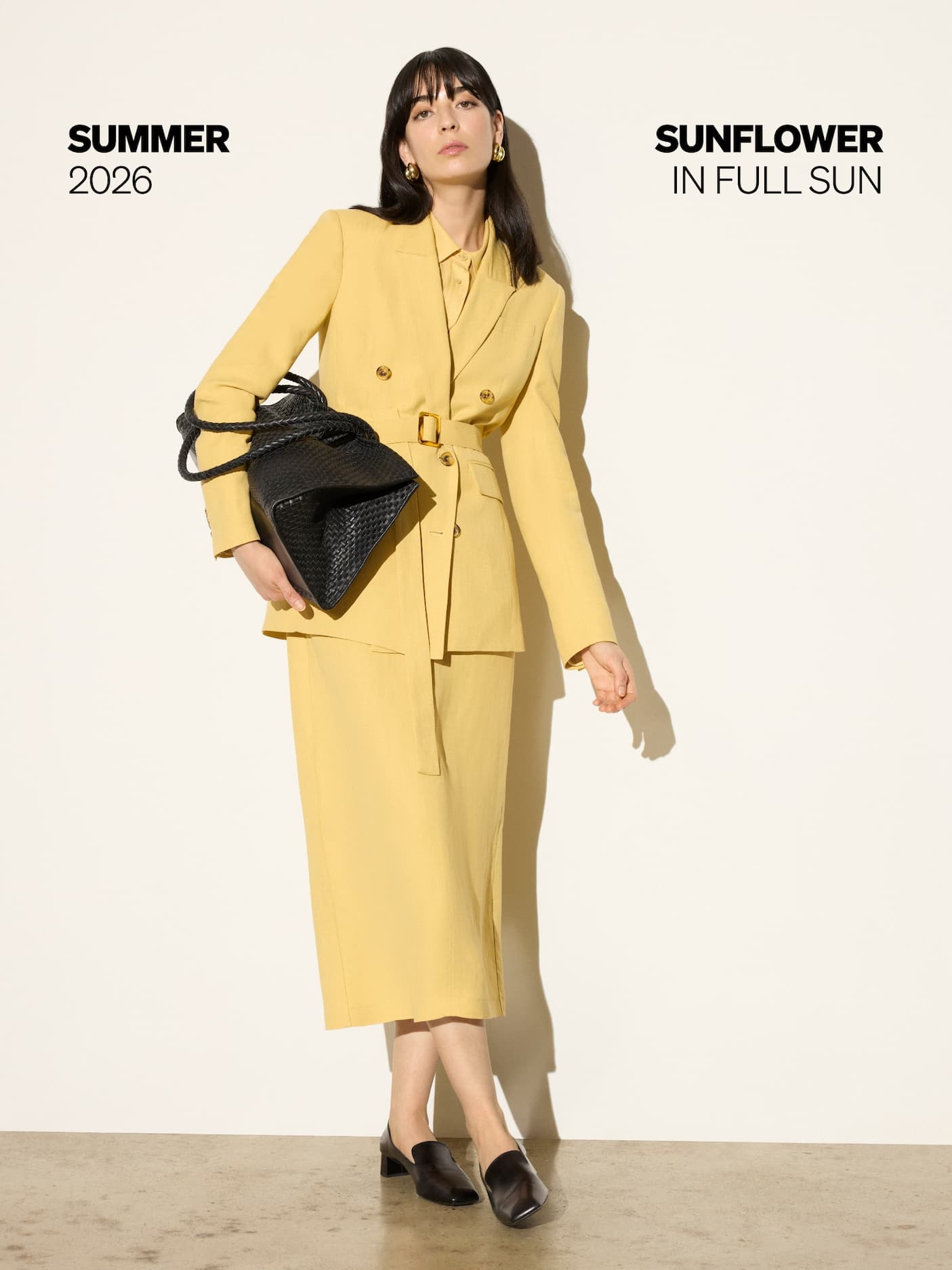 Sunflower: In Full Sun