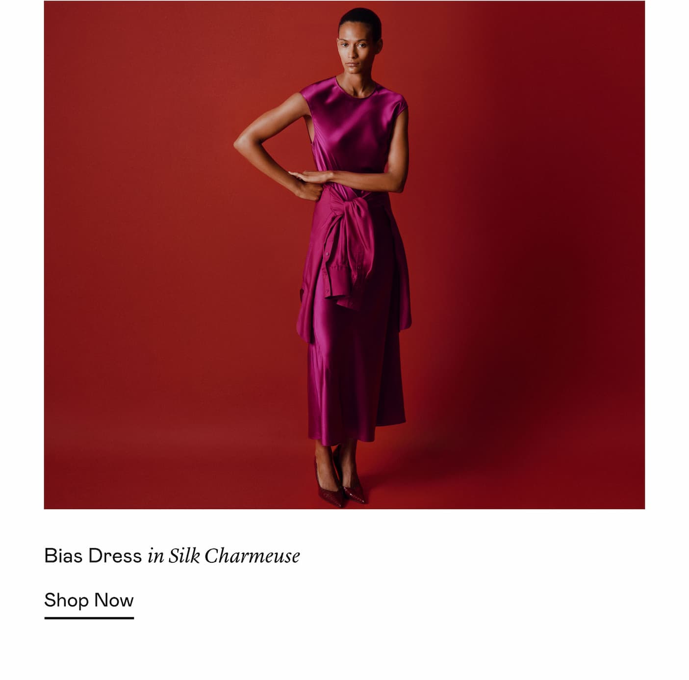 Bias Dress in Silk Charmeuse