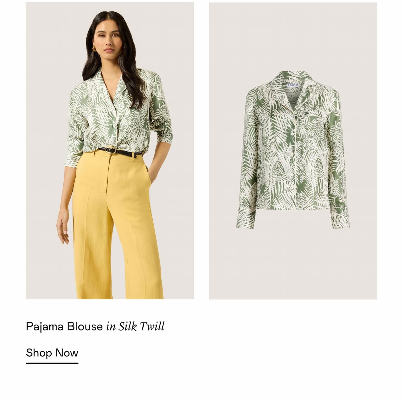 Shop The Pajama Blouse Shop The Pajama Blouse