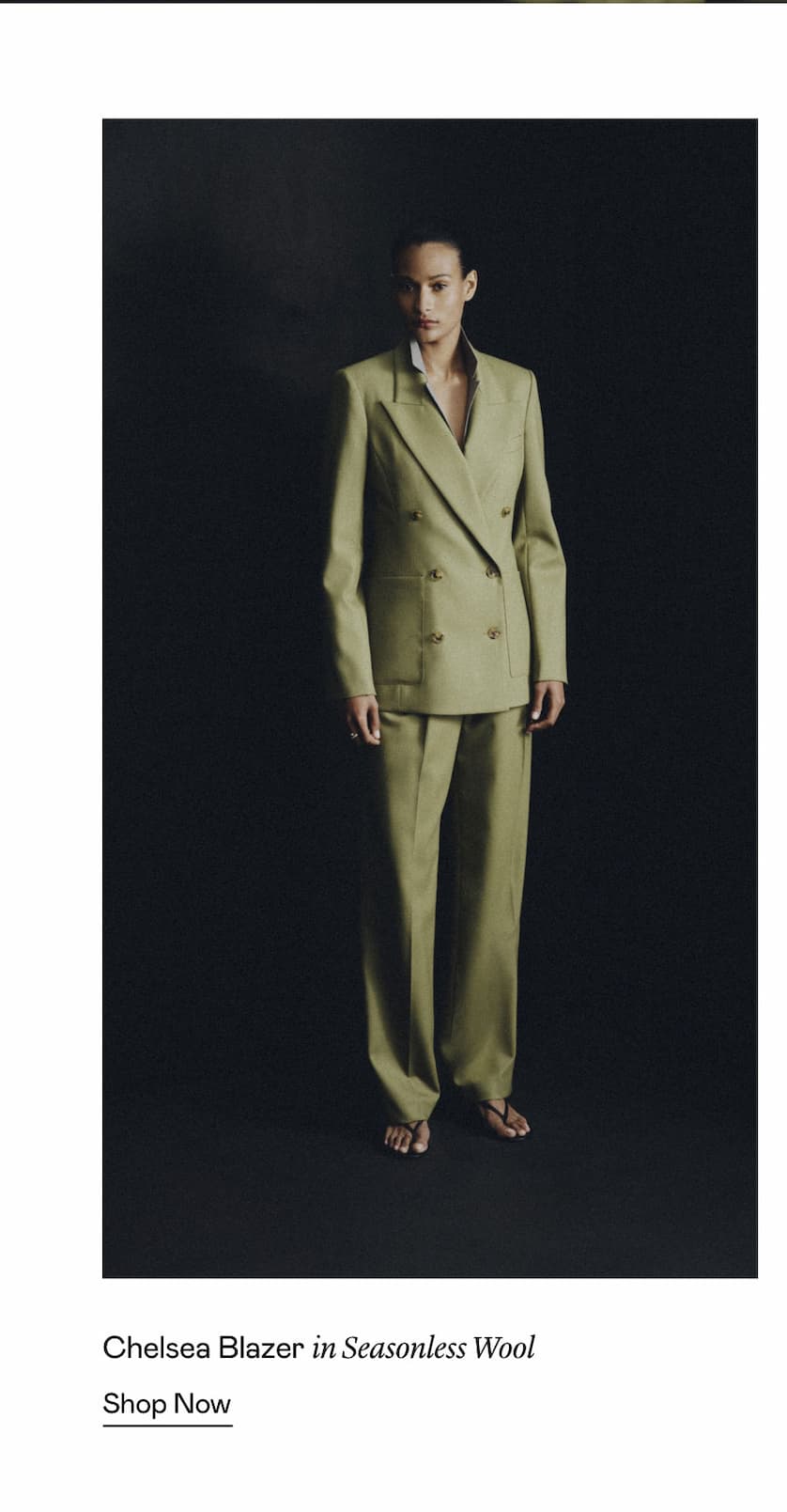 Chelsea Blazer in Seasonless Wool