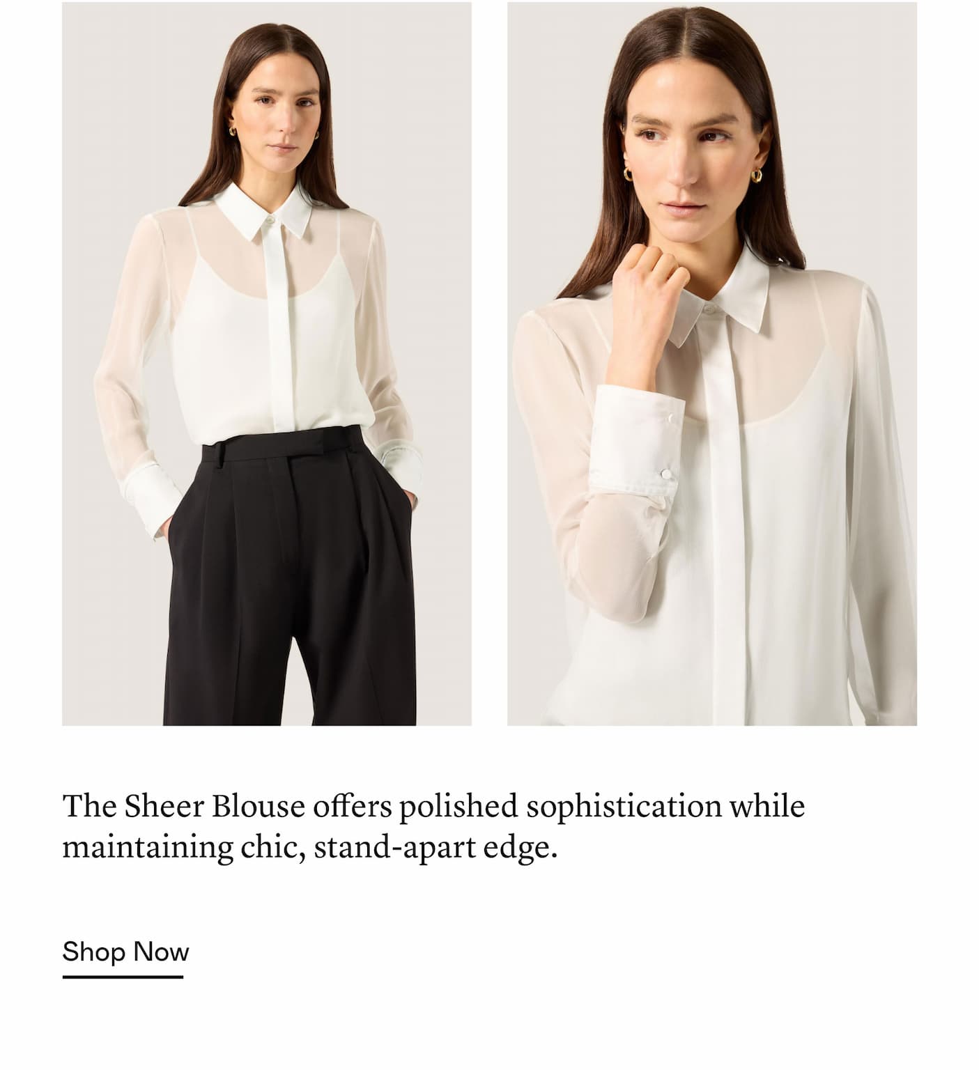 The Sheer Blouse offers polished sophistication while maintaining chic, stand-apart edge. The Sheer Blouse offers polished sophistication while maintaining chic, stand-apart edge.
