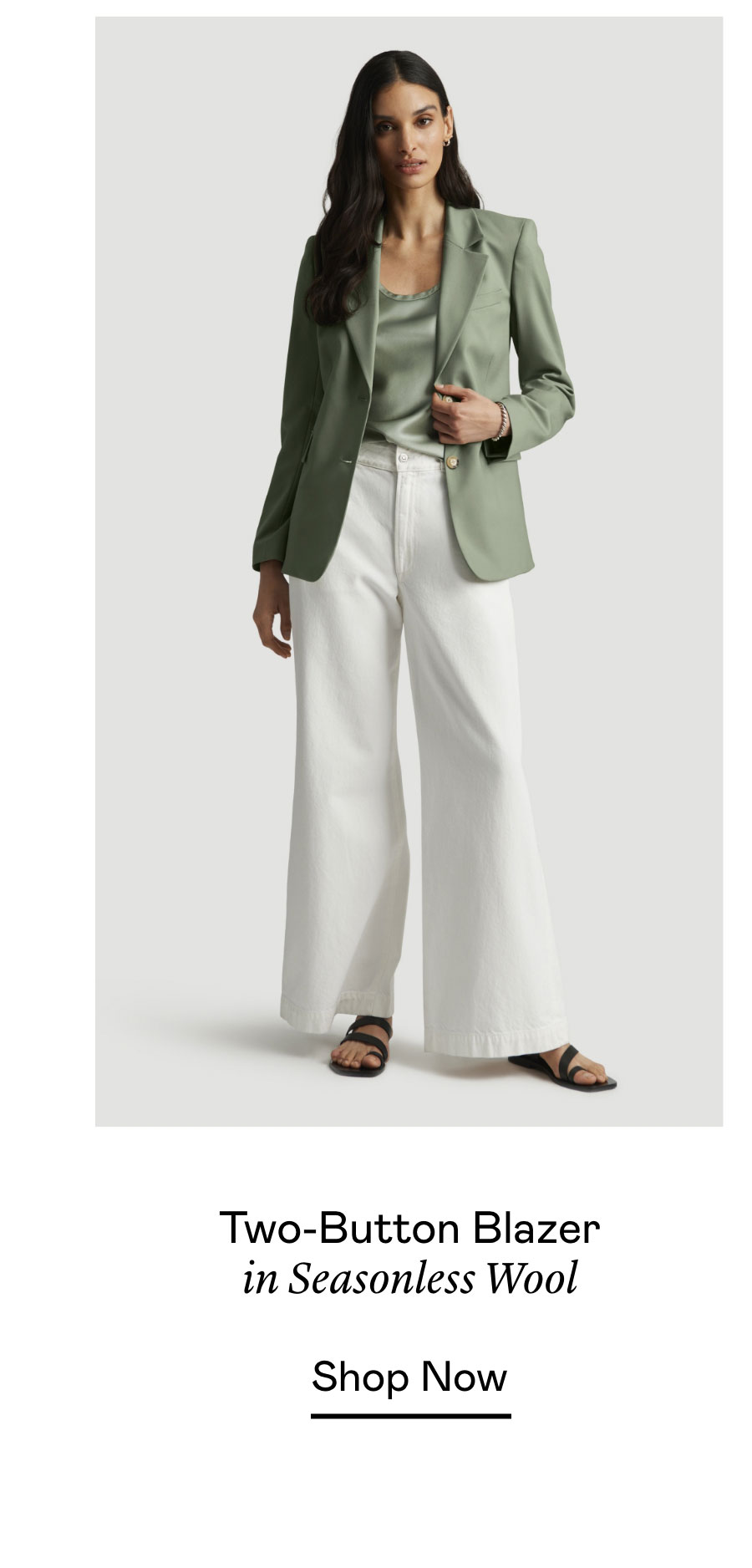 Two-Button Blazer in Seasonless Wool