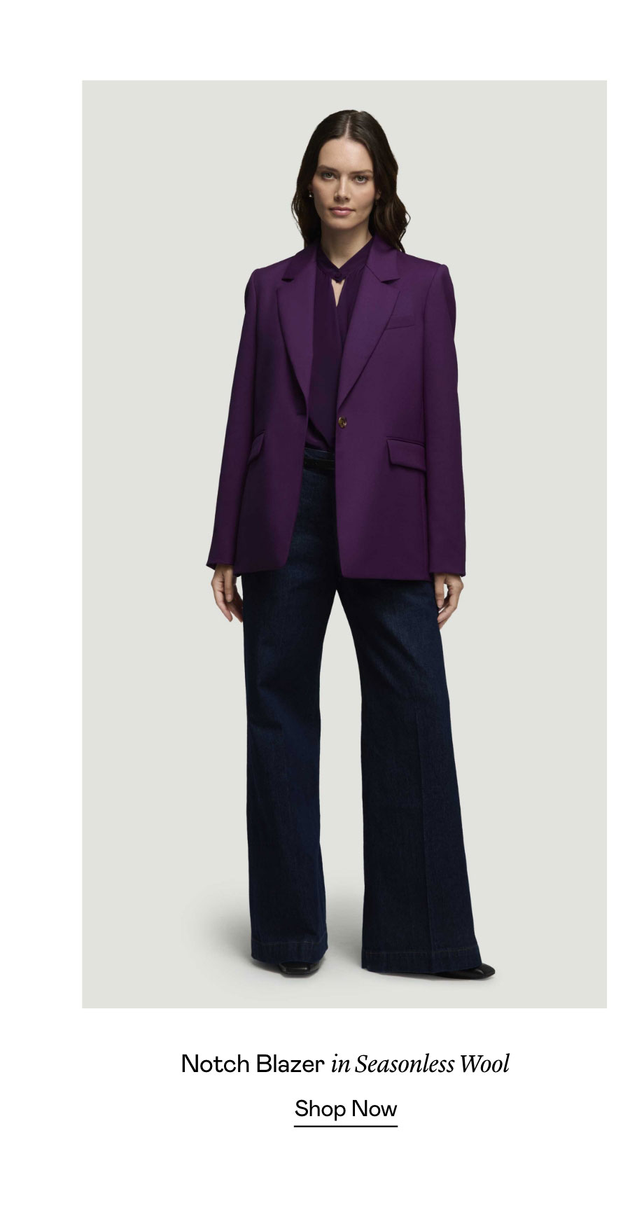 Notch Blazer in Seasonless Wool Notch Blazer in Seasonless Wool