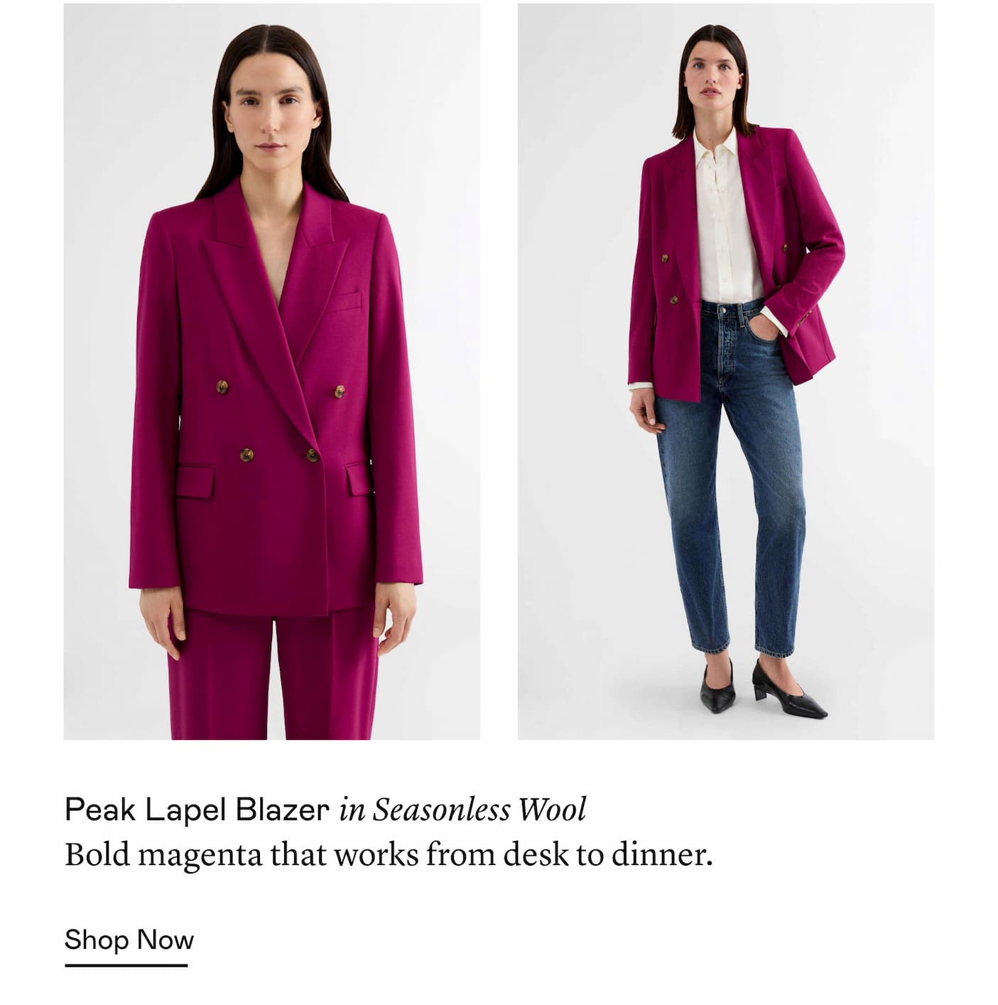 Peak Lapel Blazer in Seasonless Wool Peak Lapel Blazer in Seasonless Wool