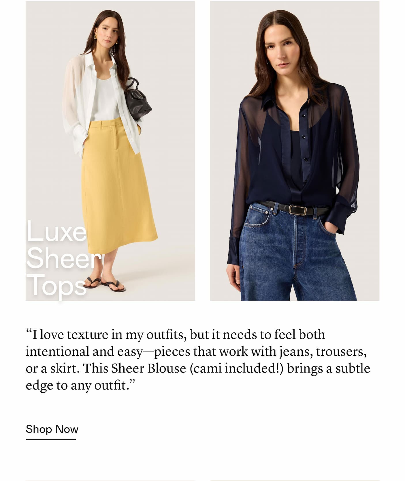Luxe Sheer Tops Luxe Sheer Tops