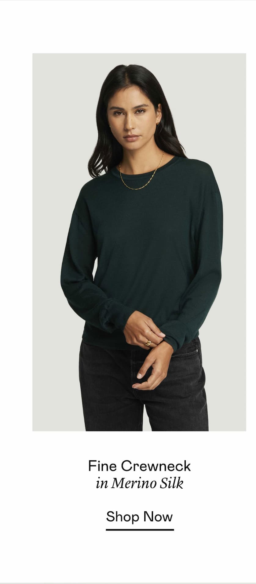 Fine Crewneck in Merino Silk
