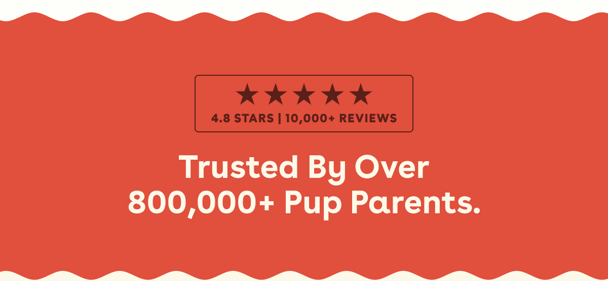Trsuted by 800,000 pup parents 