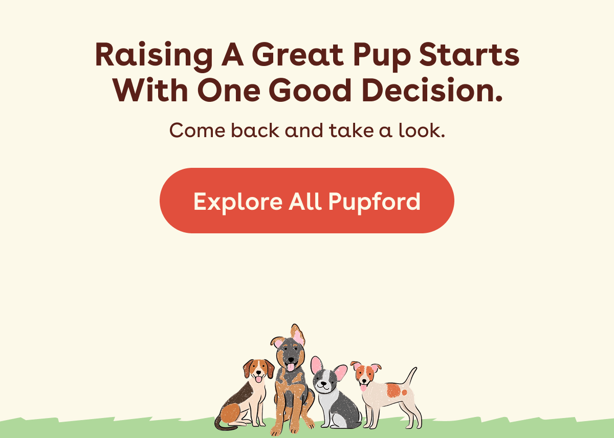 Explore all pupford 