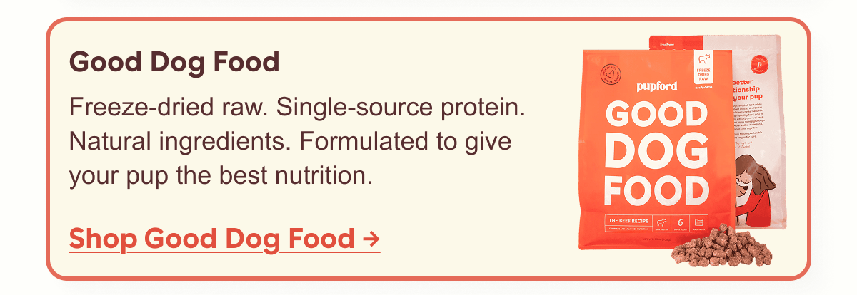 Good dog food 