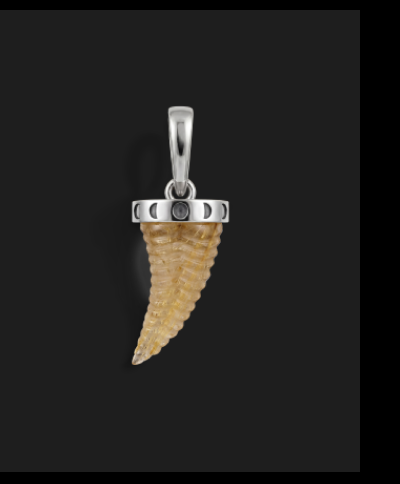 Carved Saber-Tooth Pendant