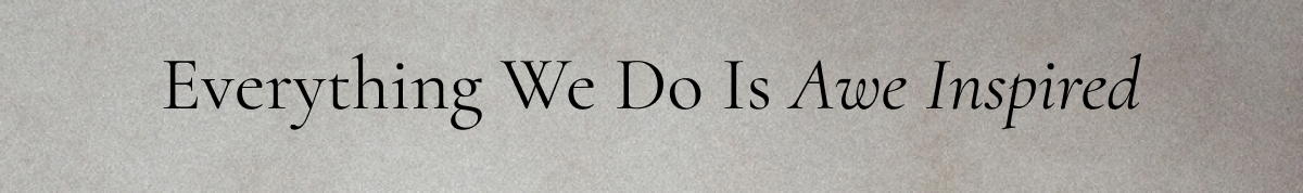 Everything We Do Is Awe Inspired