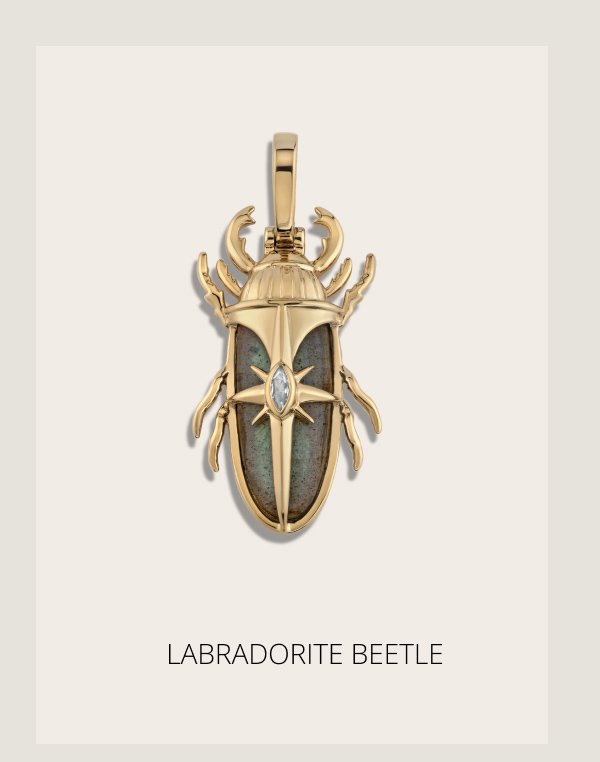 Labradorite Beetle