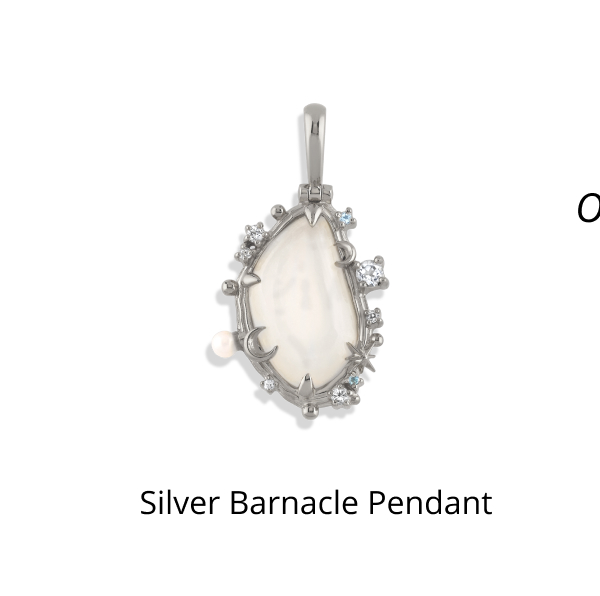 Silver Barnacle Pendant