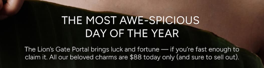 Seixe Your Chance