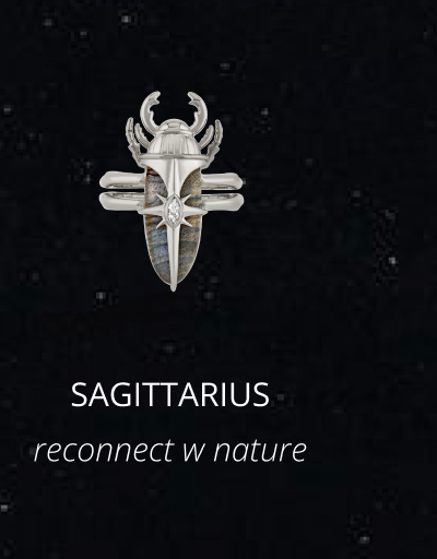 Sagittarius - Reconnect with nature