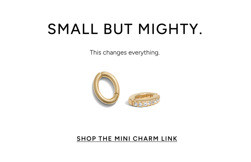 Shop The Mini Charm Link