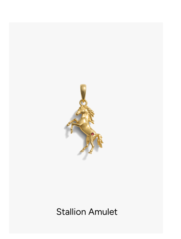 Stallion Amulet