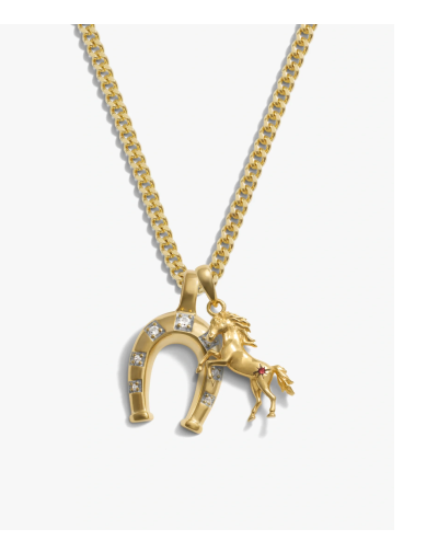 Horseshoe Necklace