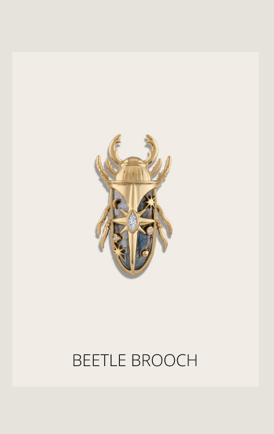 Labradorite Beetle Brooch