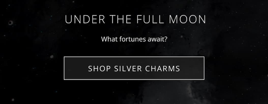 Shop Silver Charms