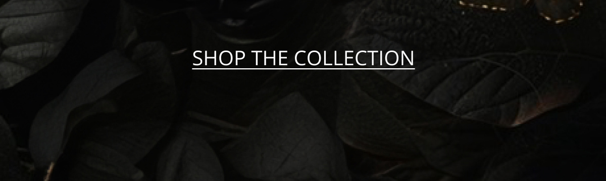 Shop The COllection