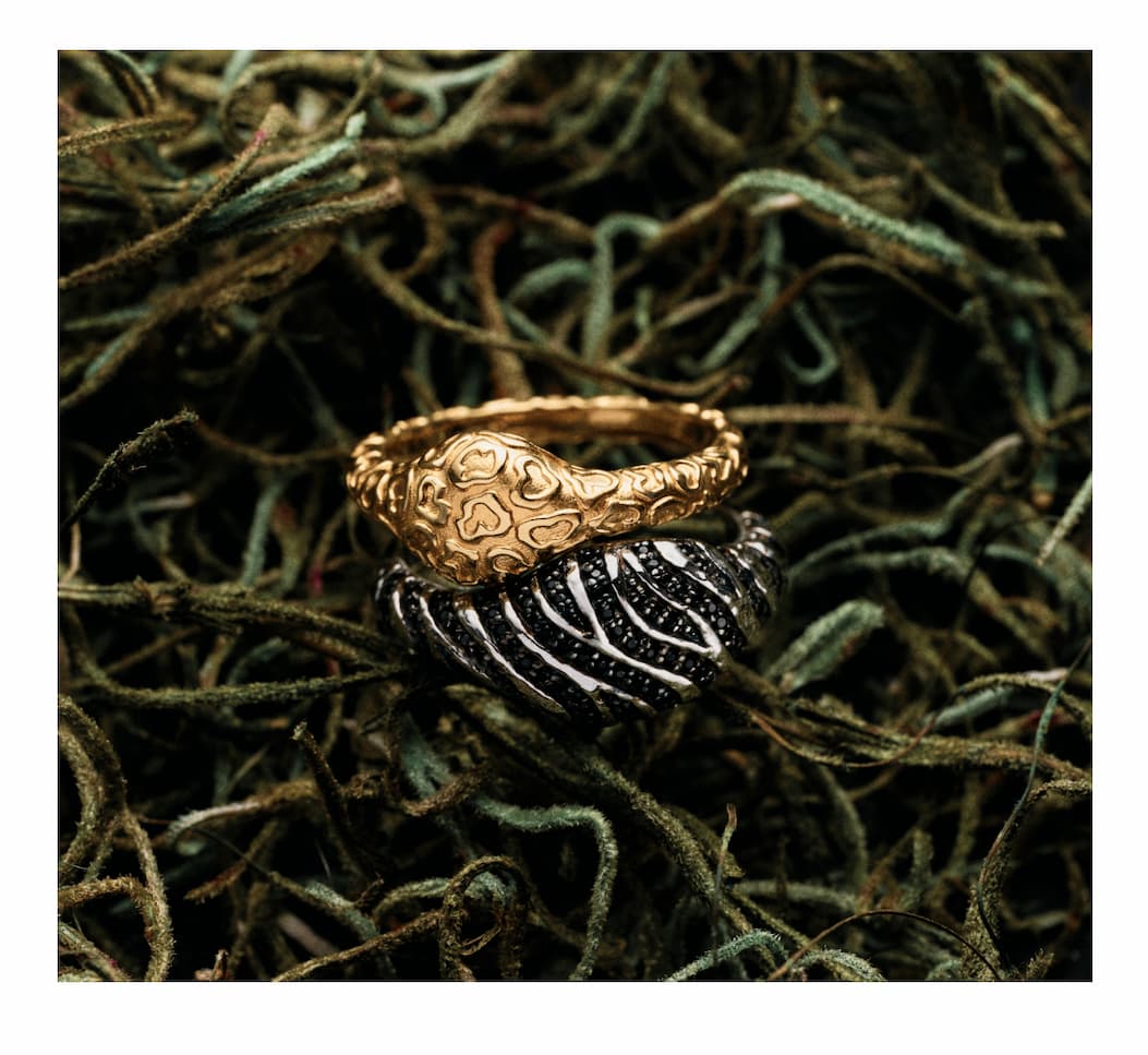 Terra Futura Rings