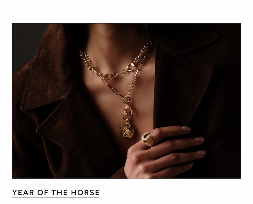 The Year Of The Horse - Discover the capsule.