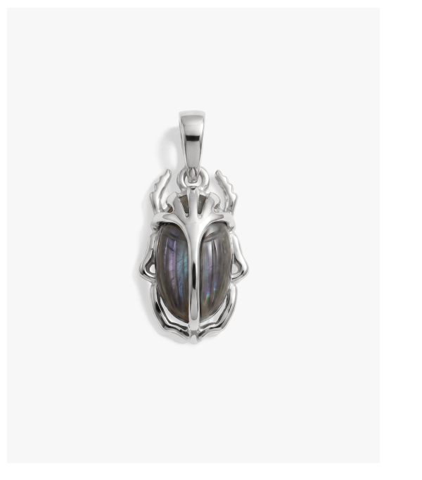 Carved Gemstone Deathwatch Beetle Pendant