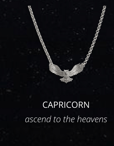 Capricorn - Ascend to the heavens