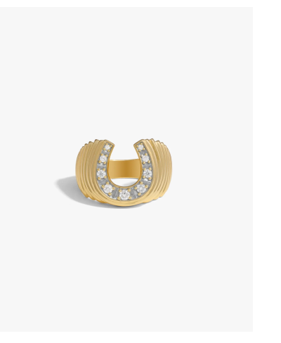 Lucky Horseshoe Signet Ring